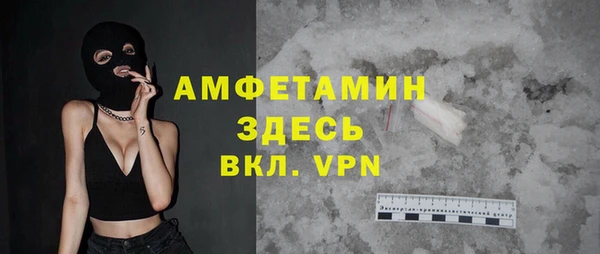 гашик Верея