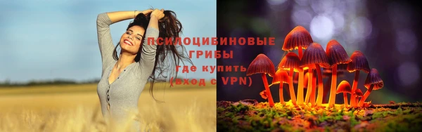 сатива Бронницы