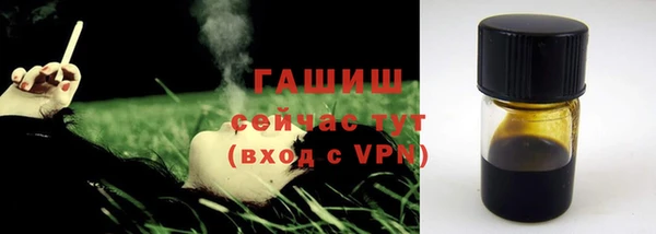 гашик Верея