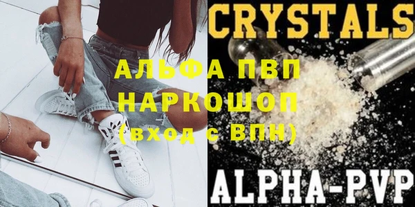 гашик Верея