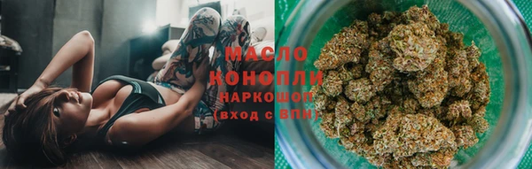 сатива Бронницы